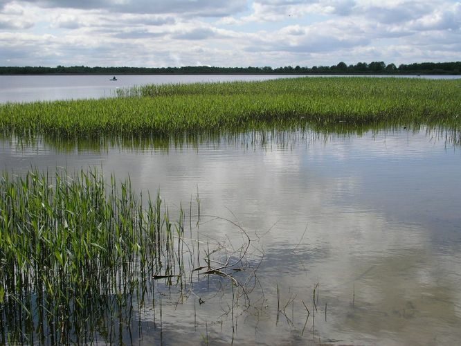 Maardu järv