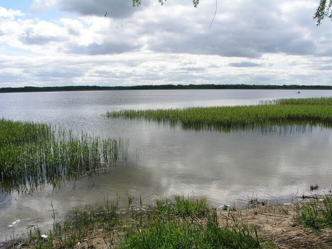 Maakond: Harjumaa Veekogu nimi: Maardu järv Pildistamise aeg: 19. mai 2008 Pildistaja: H. Timm Pildistamise koht: teadmata Asimuut: