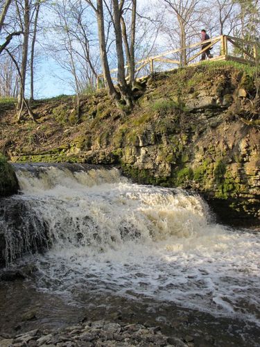 Maakond: Ida-Virumaa Veekogu nimi: Mägara oja Pildistamise aeg: 12. mai 2010 Pildistaja: H. Timm Pildistamise koht: Aluoja juga Asimuut: