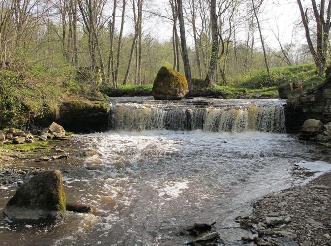 Maakond: Ida-Virumaa Veekogu nimi: Mägara oja Pildistamise aeg: 12. mai 2010 Pildistaja: H. Timm Pildistamise koht: Aluoja juga Asimuut: