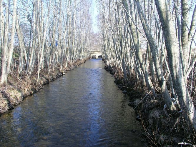 Maakond: Harjumaa Veekogu nimi: Maidla jõgi Pildistamise aeg: 27. aprill 2005 Pildistaja: H. Timm Pildistamise koht: teadmata Asimuut: