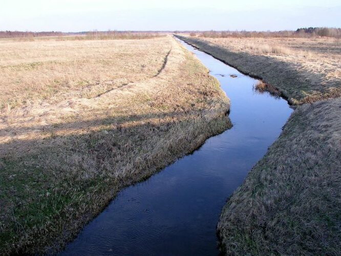 Maakond: Harjumaa Veekogu nimi: Maidla jõgi Pildistamise aeg: 27. aprill 2005 Pildistaja: H. Timm Pildistamise koht: teadmata Asimuut: