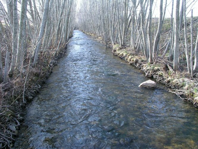 Maakond: Harjumaa Veekogu nimi: Maidla jõgi Pildistamise aeg: 27. aprill 2005 Pildistaja: H. Timm Pildistamise koht: teadmata Asimuut: