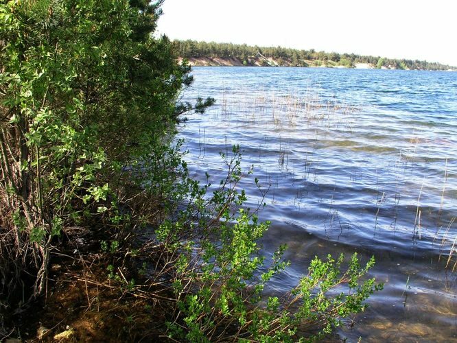 Maakond: Harjumaa Veekogu nimi: Männiku karjäär Pildistamise aeg: 20. mai 2009 Pildistaja: H. Timm Pildistamise koht: teadmata Asimuut: