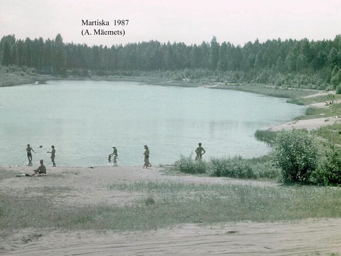 Maakond: Ida-Virumaa Veekogu nimi: Martiska järv Pildistamise aeg: 1987 Pildistaja: A. Mäemets Pildistamise koht: teadmata Asimuut: S