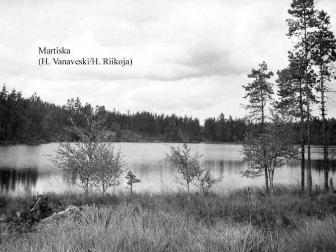 Maakond: Ida-Virumaa Veekogu nimi: Martiska järv Pildistamise aeg: teadmata Pildistaja: H. Vanaveski/H. Riikoja Pildistamise koht: teadmata Asimuut: