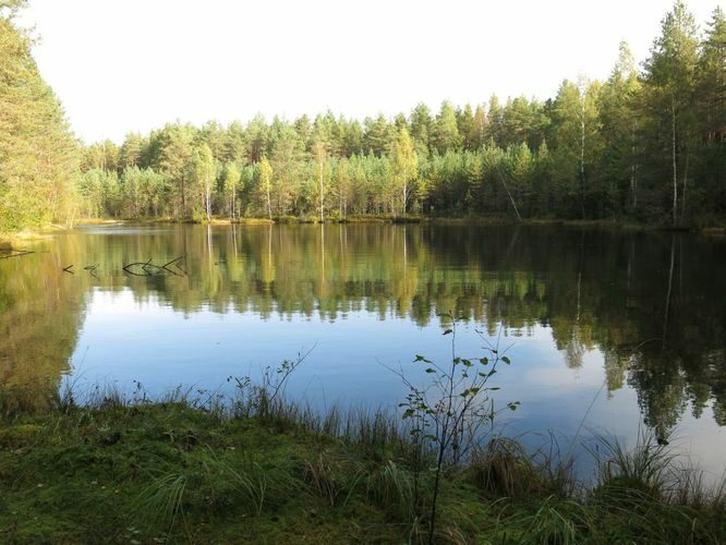 Maakond: Ida-Virumaa Veekogu nimi: Mätasjärv Pildistamise aeg: 25. september 2014 Pildistaja: H. Timm Pildistamise koht: teadmata Asimuut: