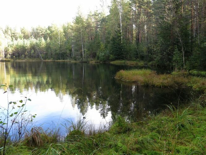 Maakond: Ida-Virumaa Veekogu nimi: Mätasjärv Pildistamise aeg: 25. september 2014 Pildistaja: H. Timm Pildistamise koht: teadmata Asimuut: