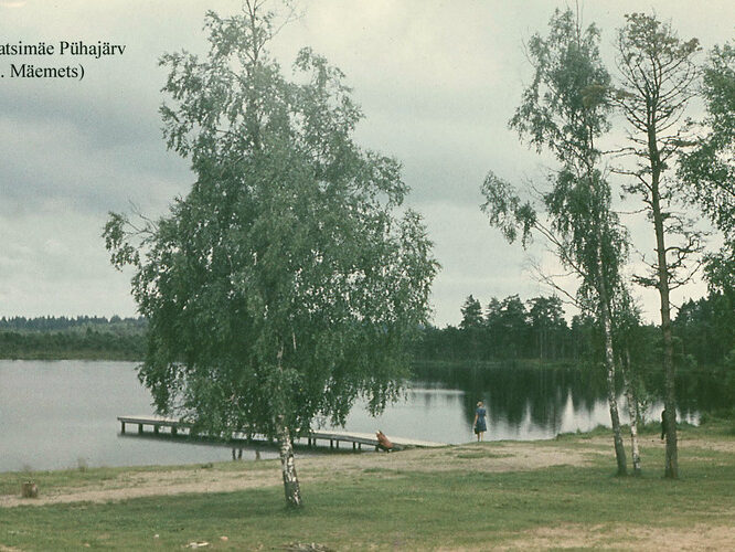 Maakond: Harjumaa Veekogu nimi: Matsimäe Pühajärv Pildistamise aeg: teadmata Pildistaja: A. Mäemets Pildistamise koht: teadmata Asimuut: