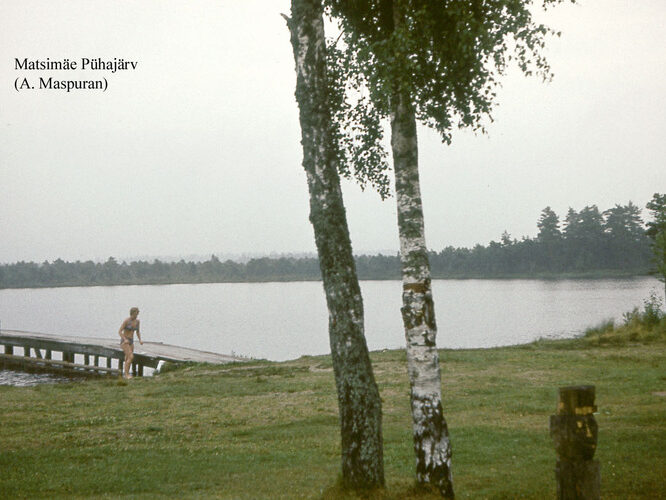 Maakond: Harjumaa Veekogu nimi: Matsimäe Pühajärv Pildistamise aeg: teadmata Pildistaja: A. Maspuran Pildistamise koht: teadmata Asimuut: