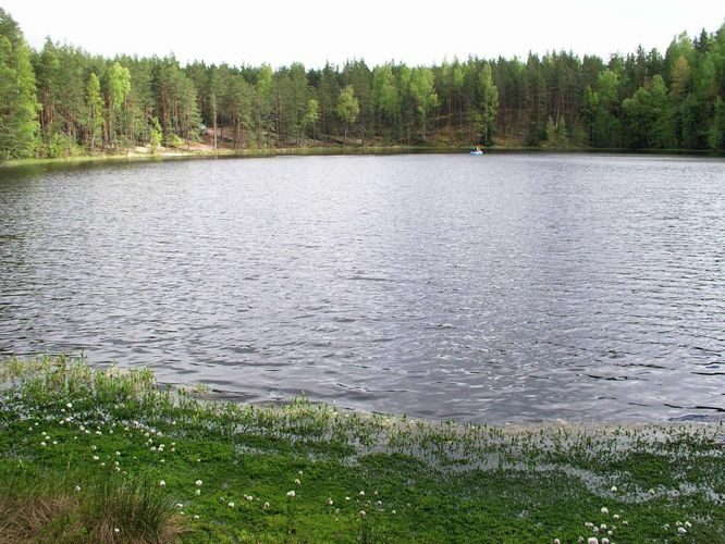 Maakond: Harjumaa Veekogu nimi: Metstoa Umerikjärv Pildistamise aeg: 24. mai 2004 Pildistaja: H. Timm Pildistamise koht: teadmata Asimuut: