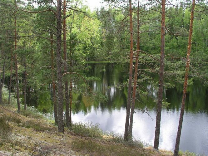 Maakond: Harjumaa Veekogu nimi: Metstoa Umerikjärv Pildistamise aeg: 24. mai 2004 Pildistaja: H. Timm Pildistamise koht: teadmata Asimuut: