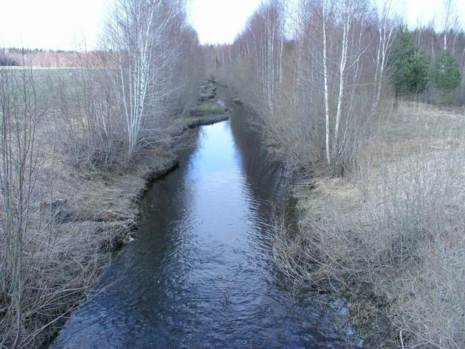 Maakond: Harjumaa Veekogu nimi: Munalaskme oja Pildistamise aeg: 27. aprill 2005 Pildistaja: H. Timm Pildistamise koht: teadmata Asimuut: