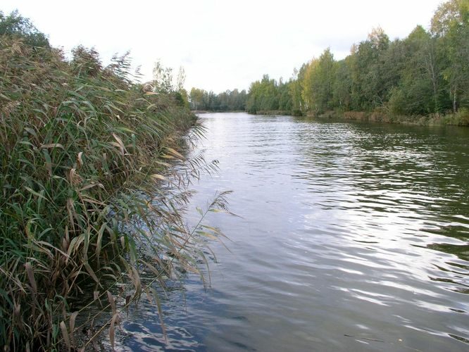 Maakond: Ida-Virumaa Veekogu nimi: Mustajõgi Pildistamise aeg: 5. oktoober 2006 Pildistaja: H. Timm Pildistamise koht: suue Asimuut: