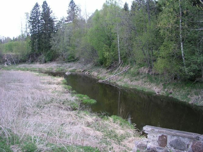 Maakond: Harjumaa Veekogu nimi: Mustoja Pildistamise aeg: 18. mai 2006 Pildistaja: H. Timm Pildistamise koht: kõige alumine pais Asimuut: