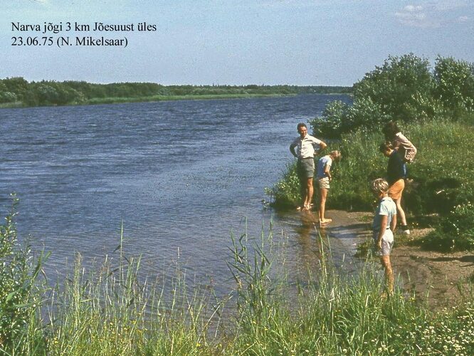 Maakond: Ida-Virumaa Veekogu nimi: Narva jõgi Pildistamise aeg: 23. juuni 1975 Pildistaja: N. Mikelsaar Pildistamise koht: 3 km Asimuut: SE