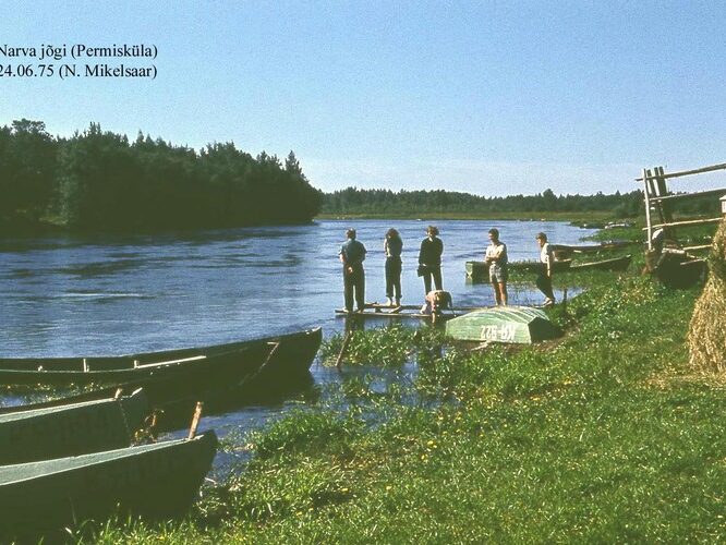 Maakond: Ida-Virumaa Veekogu nimi: Narva jõgi Pildistamise aeg: 24. juuni 1975 Pildistaja: N. Mikelsaar Pildistamise koht: Permisk Asimuut: S