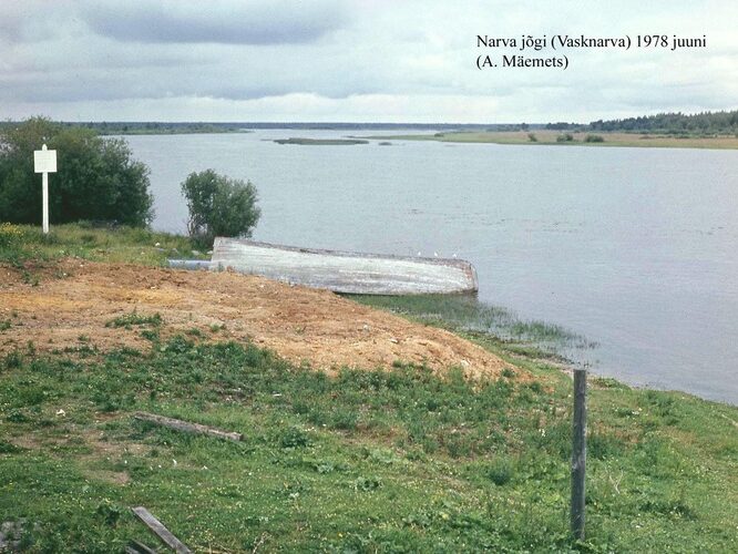 Maakond: Ida-Virumaa Veekogu nimi: Narva jõgi Pildistamise aeg: juuni 1979 Pildistaja: A. Mäemets Pildistamise koht: Vasknarva Asimuut: N