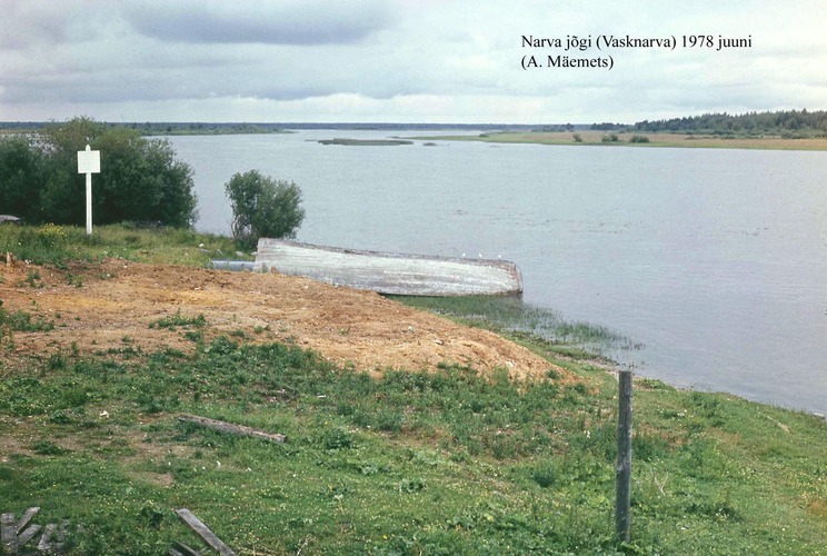 Maakond: Ida-Virumaa Veekogu nimi: Narva jõgi Pildistamise aeg: juuni 1979 Pildistaja: A. Mäemets Pildistamise koht: Vasknarva Asimuut: N