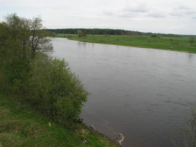 Maakond: Ida-Virumaa Veekogu nimi: Narva jõgi Pildistamise aeg: 21. mai 2003 Pildistaja: H. Timm Pildistamise koht: teadmata Asimuut: