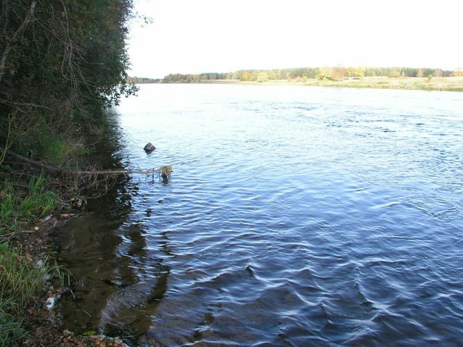 Maakond: Ida-Virumaa Veekogu nimi: Narva jõgi Pildistamise aeg: 5. oktoober 2005 Pildistaja: H. Timm Pildistamise koht: Permisküla Asimuut: