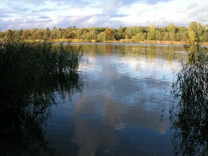 Maakond: Ida-Virumaa Veekogu nimi: Narva jõgi Pildistamise aeg: 6. oktoober 2006 Pildistaja: H. Timm Pildistamise koht: Siivertsi Asimuut: