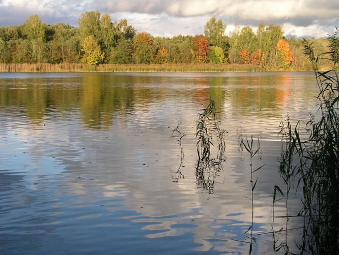 Maakond: Ida-Virumaa Veekogu nimi: Narva jõgi Pildistamise aeg: 6. oktoober 2006 Pildistaja: H. Timm Pildistamise koht: Siivertsi Asimuut: