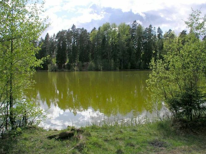 Maakond: Harjumaa Veekogu nimi: Nelijärve Vahejärv Pildistamise aeg: 24. mai 2004 Pildistaja: H. Timm Pildistamise koht: teadmata Asimuut: