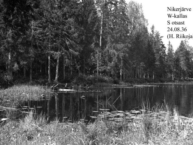 Maakond: Harjumaa Veekogu nimi: Nikerjärv Pildistamise aeg: 24. august 1936 Pildistaja: H. Riikoja Pildistamise koht: W kallas S otsast Asimuut: NW