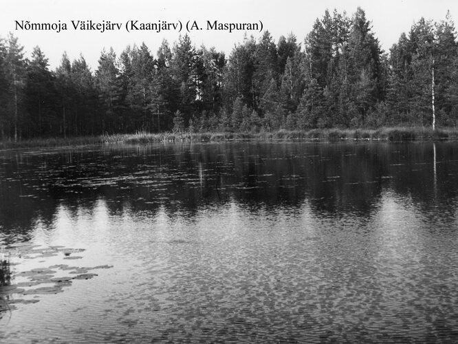 Maakond: Harjumaa Veekogu nimi: Nõmmoja Väikejärv Pildistamise aeg: teadmata Pildistaja: A. Maspuran Pildistamise koht: teadmata Asimuut: