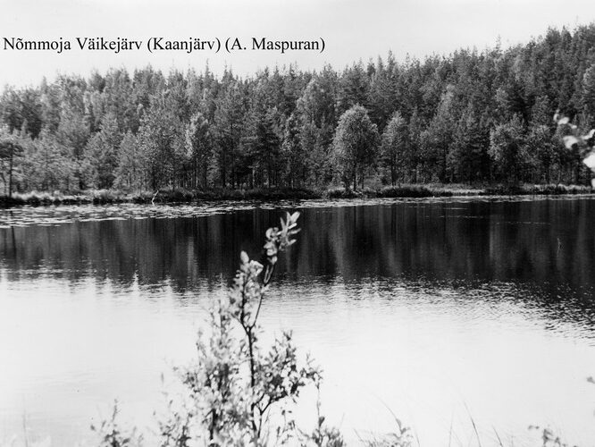 Maakond: Harjumaa Veekogu nimi: Nõmmoja Väikejärv Pildistamise aeg: teadmata Pildistaja: A. Maspuran Pildistamise koht: teadmata Asimuut: