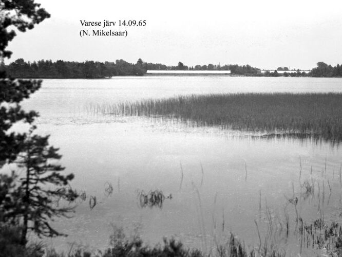 Maakond: Harjumaa Veekogu nimi: Nurme järv Pildistamise aeg: 14. september 1965 Pildistaja: N. Mikelsaar Pildistamise koht: teadmata Asimuut: