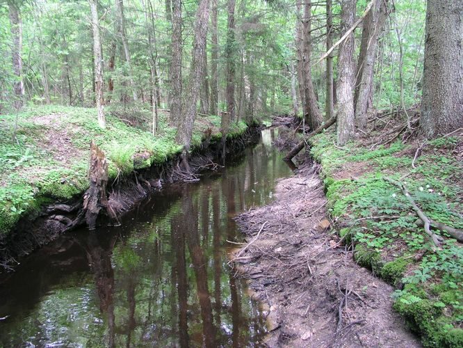 Maakond: Hiiumaa Veekogu nimi: Nuutri jõgi Pildistamise aeg: 23. mai 2008 Pildistaja: H. Timm Pildistamise koht: Prähla Asimuut: