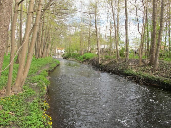 Maakond: Hiiumaa Veekogu nimi: Nuutri jõgi Pildistamise aeg: 16. mai 2011 Pildistaja: H. Timm Pildistamise koht: teadmata Asimuut: