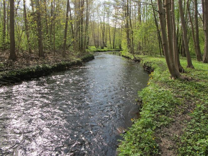 Maakond: Hiiumaa Veekogu nimi: Nuutri jõgi Pildistamise aeg: 16. mai 2011 Pildistaja: H. Timm Pildistamise koht: teadmata Asimuut: