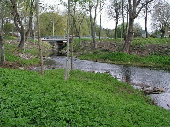 Maakond: Harjumaa Veekogu nimi: Pääsküla jõgi Pildistamise aeg: 14. mai 2009 Pildistaja: H. Timm Pildistamise koht: Laagri Asimuut: