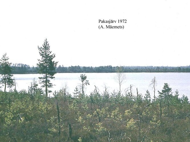 Maakond: Harjumaa Veekogu nimi: Pakasjärv Pildistamise aeg: 1972 Pildistaja: A. Mäemets Pildistamise koht: teadmata Asimuut: