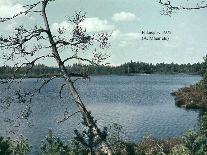 Maakond: Harjumaa Veekogu nimi: Pakasjärv Pildistamise aeg: 1972 Pildistaja: A. Mäemets Pildistamise koht: teadmata Asimuut: