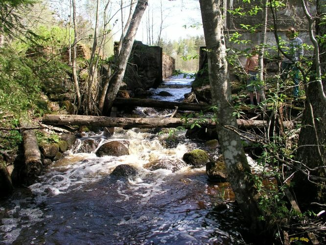 Maakond: Harjumaa Veekogu nimi: Pala oja Pildistamise aeg: 22. mai 2005 Pildistaja: H. Timm Pildistamise koht: paisu all Asimuut: