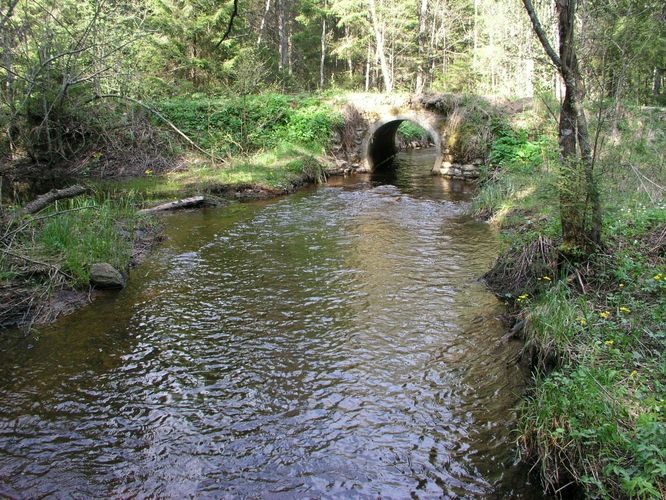 Maakond: Harjumaa Veekogu nimi: Pala oja Pildistamise aeg: 22. mai 2005 Pildistaja: H. Timm Pildistamise koht: Tõreska tee Asimuut: