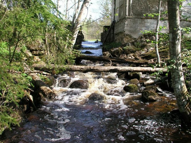 Maakond: Harjumaa Veekogu nimi: Pala oja Pildistamise aeg: 22. mai 2005 Pildistaja: H. Timm Pildistamise koht: paisu all Asimuut: