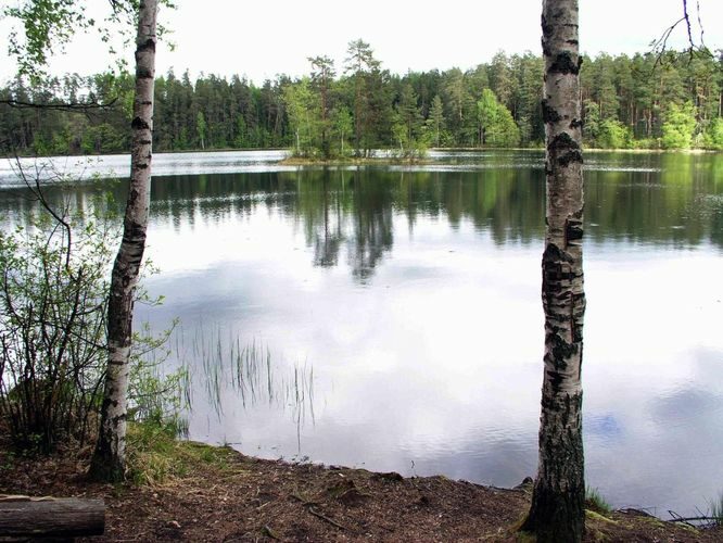 Maakond: Harjumaa Veekogu nimi: Paukjärv Pildistamise aeg: 24. mai 2004 Pildistaja: H. Timm Pildistamise koht: teadmata Asimuut: