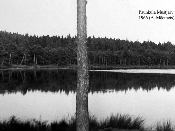 Maakond: Harjumaa Veekogu nimi: Paunküla Mustjärv Pildistamise aeg: 1966 Pildistaja: A. Mäemets Pildistamise koht: teadmata Asimuut: