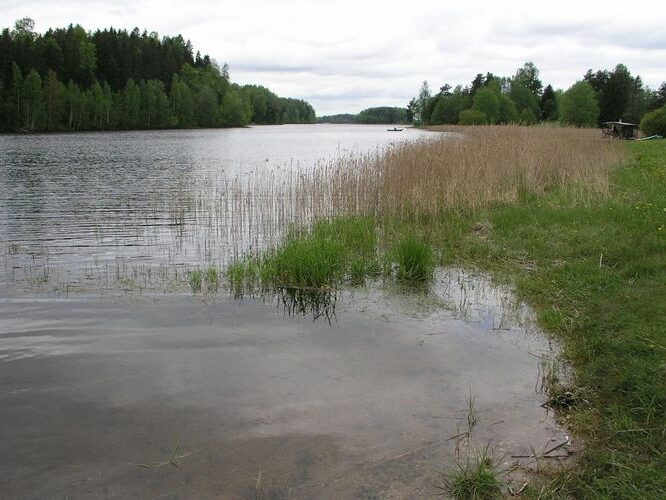 Maakond: Harjumaa Veekogu nimi: Paunküla veehoidla Pildistamise aeg: 19. mai 2008 Pildistaja: H. Timm Pildistamise koht: teadmata Asimuut: