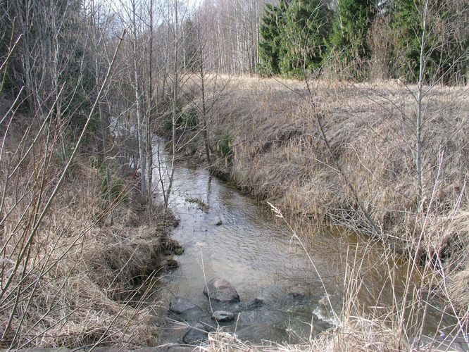 Maakond: Harjumaa Veekogu nimi: Piirsalu jõgi Pildistamise aeg: 19. aprill 2006 Pildistaja: H. Timm Pildistamise koht: ülemjooks Asimuut: