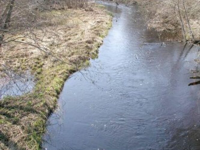 Maakond: Harjumaa Veekogu nimi: Pirita jõgi Pildistamise aeg: 26. aprill 2004 Pildistaja: H. Timm Pildistamise koht: Sae Asimuut: