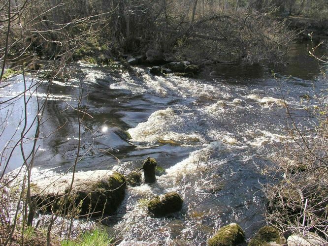 Maakond: Harjumaa Veekogu nimi: Pirita jõgi Pildistamise aeg: 26. aprill 2004 Pildistaja: H. Timm Pildistamise koht: Otiveski Asimuut: