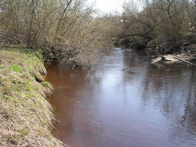 Maakond: Harjumaa Veekogu nimi: Pirita jõgi Pildistamise aeg: 26. aprill 2004 Pildistaja: H. Timm Pildistamise koht: Uuemõisast allpool Asimuut: