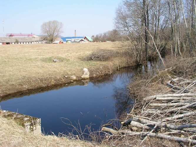 Maakond: Harjumaa Veekogu nimi: Pirita jõgi Pildistamise aeg: 26. aprill 2004 Pildistaja: H. Timm Pildistamise koht: Ardu Asimuut: