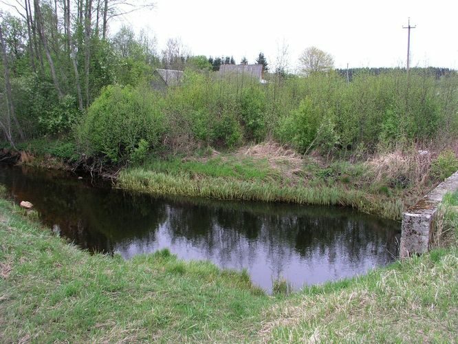 Maakond: Harjumaa Veekogu nimi: Pirita jõgi Pildistamise aeg: 14. mai 2009 Pildistaja: H. Timm Pildistamise koht: Ardu külast ülalpool Asimuut: